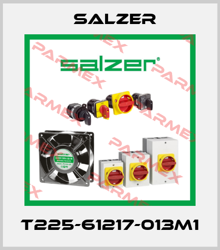 T225-61217-013M1 Salzer