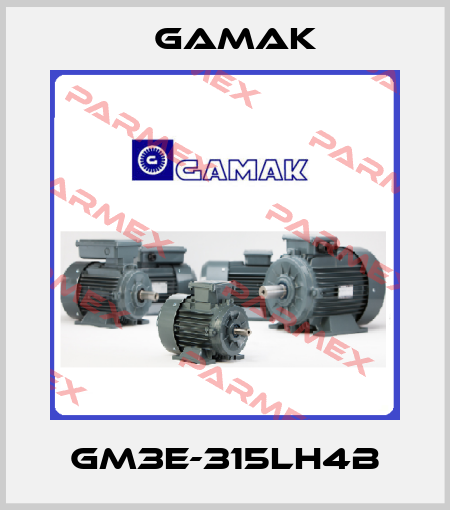 GM3E-315LH4b Gamak