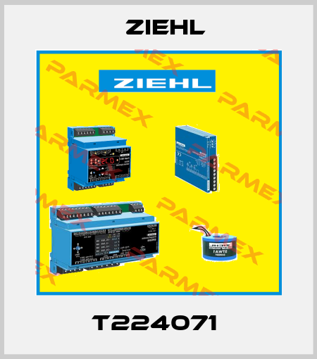 T224071  Ziehl