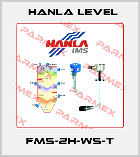 FMS-2H-WS-T HANLA LEVEL