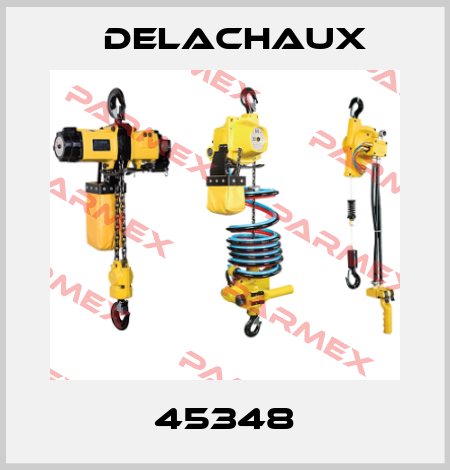 45348 Delachaux