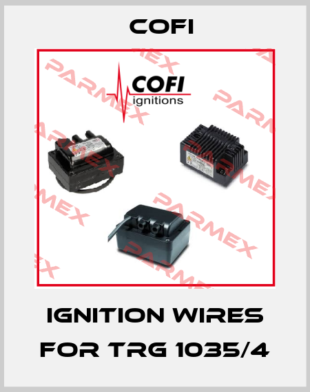 Ignition wires for TRG 1035/4 Cofi