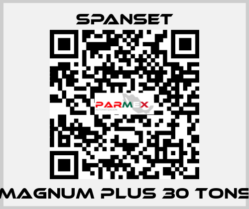 magnum plus 30 tons SpanSet