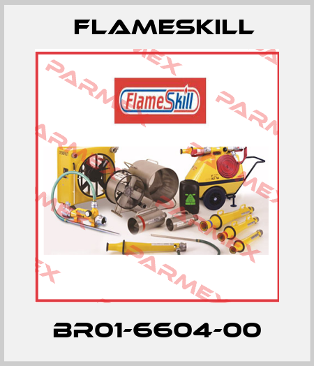 BR01-6604-00 FlameSkill