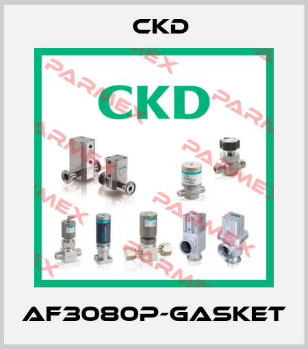 AF3080P-GASKET Ckd