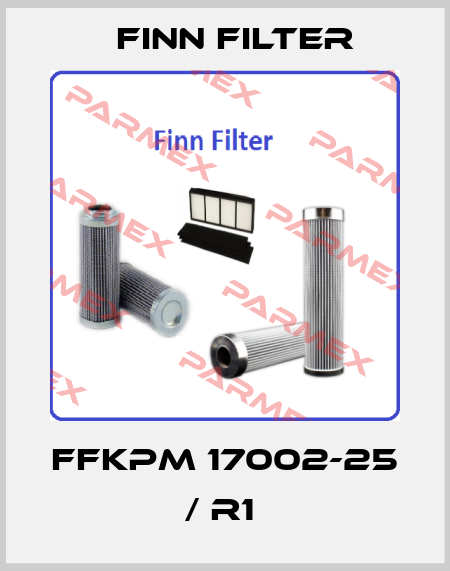  FFKPM 17002-25 / R1  Finn Filter