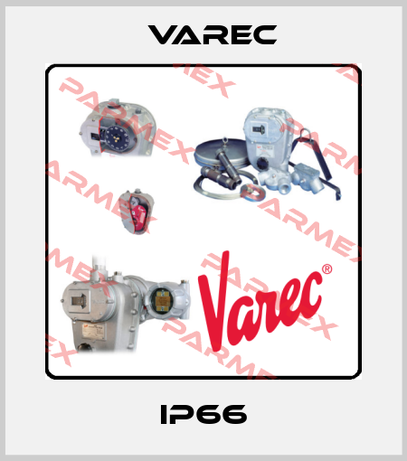 IP66 Varec