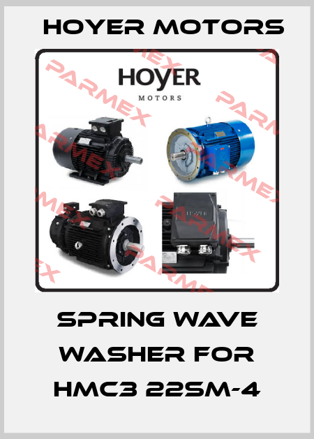 spring wave washer for HMC3 22SM-4 Hoyer Motors