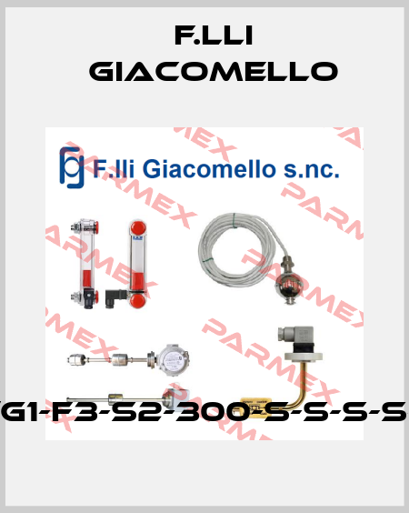 RL/G1-F3-S2-300-S-S-S-S-S-1 F.lli Giacomello