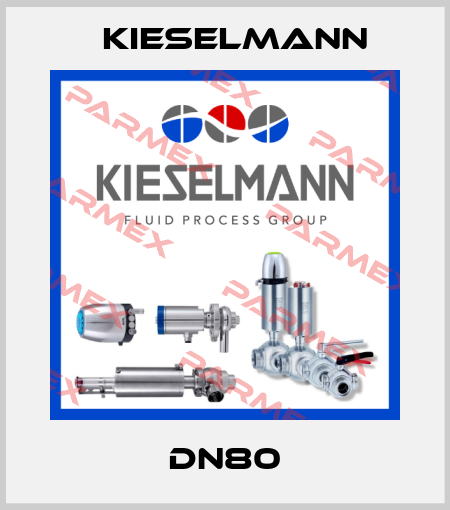 DN80 Kieselmann