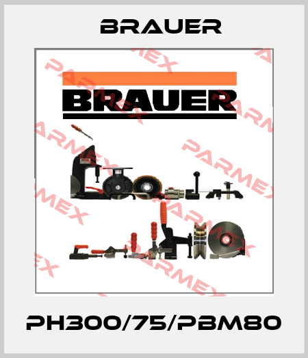 PH300/75/PBM80 Brauer