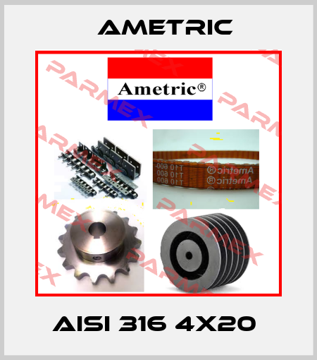 AISI 316 4X20  Ametric