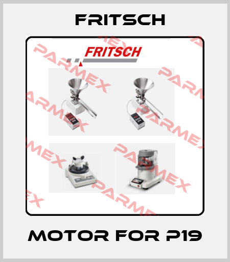 Motor for p19 Fritsch
