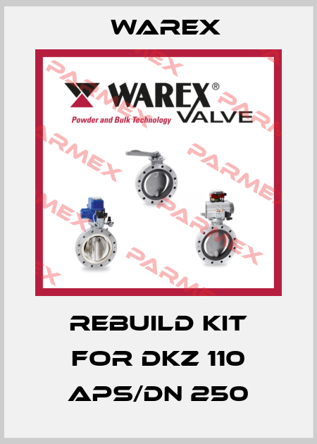 Rebuild kit for DKZ 110 APS/DN 250 Warex