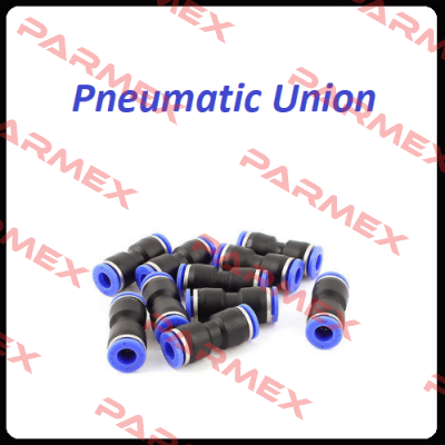 290607908131 PNEUMATIC UNION