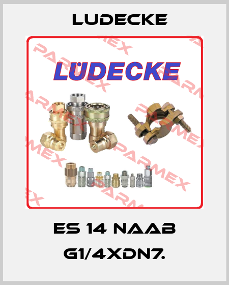 ES 14 NAAB G1/4XDN7. Ludecke