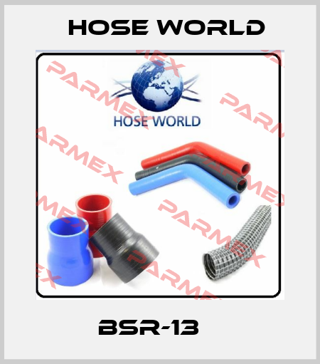 BSR-13    HOSE WORLD