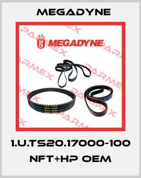 1.U.TS20.17000-100 NFT+HP OEM Megadyne
