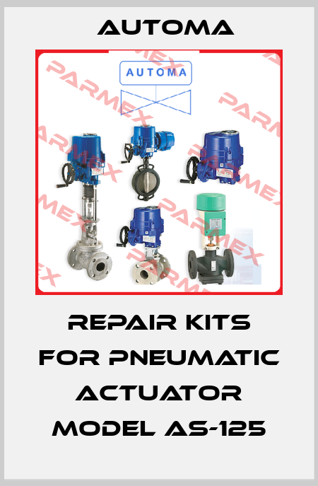 Repair kits for Pneumatic Actuator Model AS-125 AUTOMA