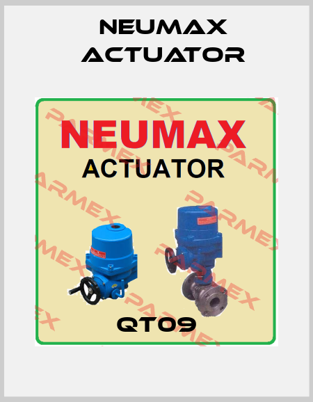 QT09 Neumax Actuator