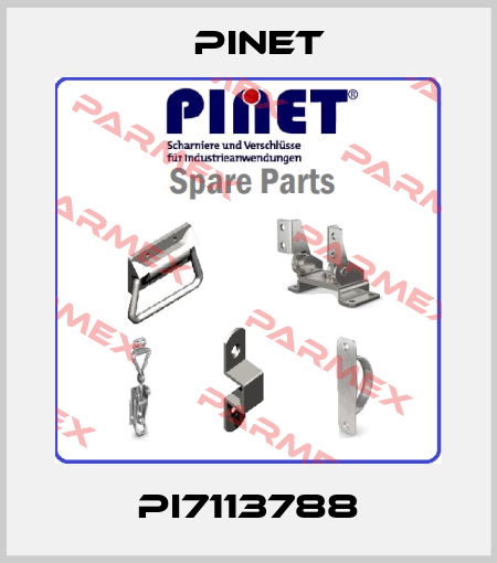 PI7113788 Pinet