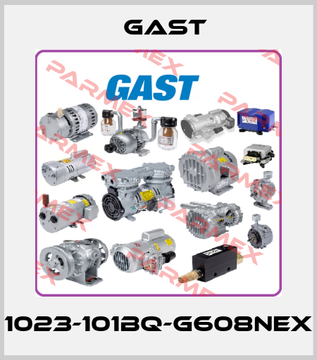 1023-101BQ-G608NEX Gast