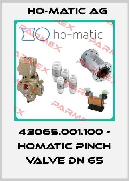 43065.001.100 - HoMatic pinch valve DN 65 Ho-Matic AG