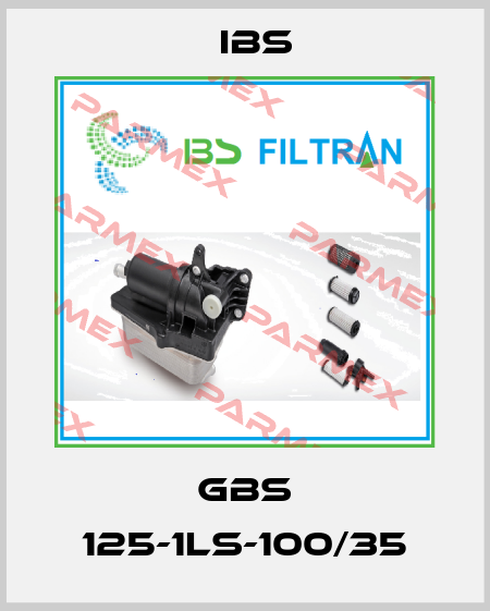 GBS 125-1LS-100/35 Ibs