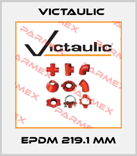 EPDM 219.1 mm Victaulic