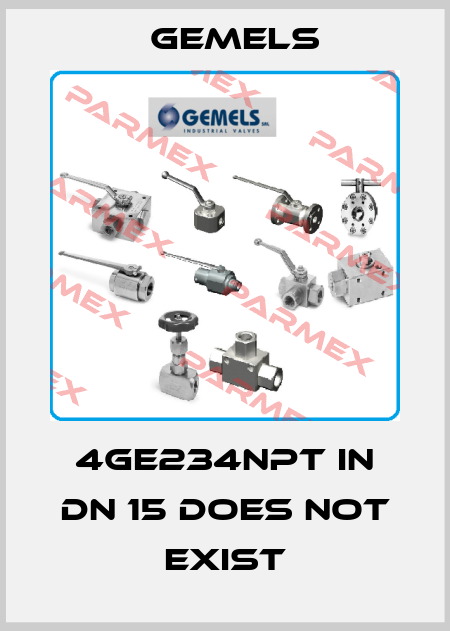 4GE234NPT in DN 15 does not exist Gemels