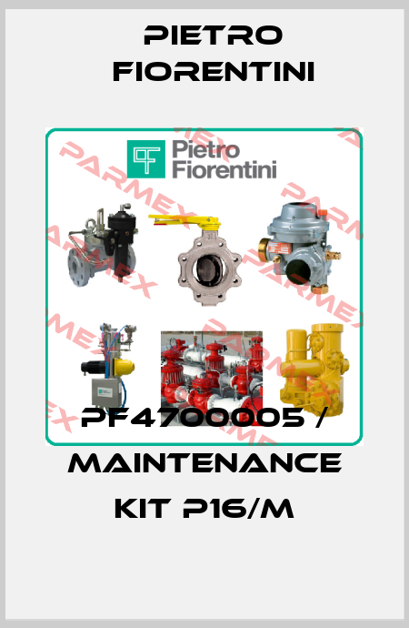 PF4700005 / Maintenance kit P16/M Pietro Fiorentini