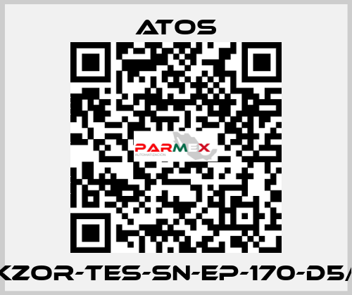 DKZOR-TES-SN-EP-170-D5/FI Atos