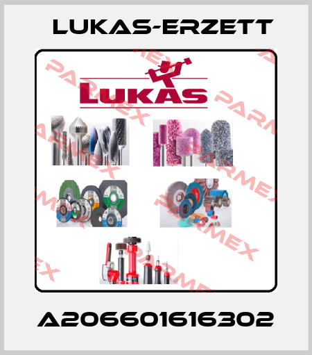 A206601616302 Lukas-Erzett