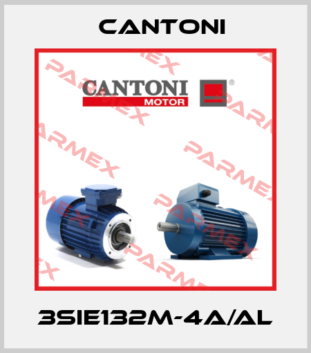 3SIE132M-4A/AL Cantoni