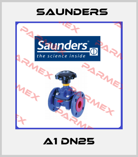 A1 DN25 Saunders