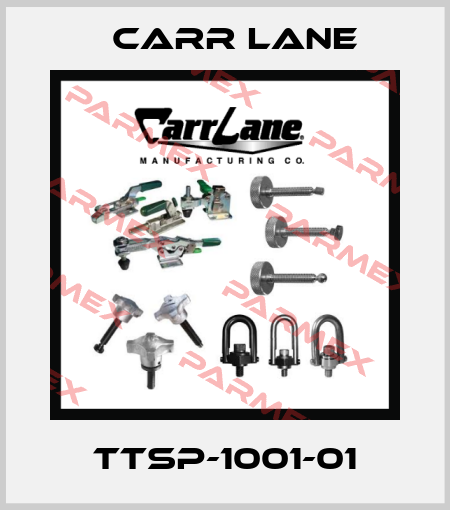 TTSP-1001-01 Carr Lane