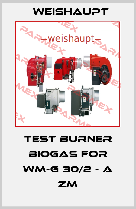 Test burner biogas for WM-G 30/2 - A ZM Weishaupt