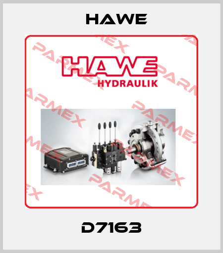 D7163 Hawe