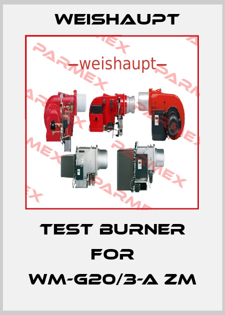 Test burner for WM-G20/3-A ZM Weishaupt