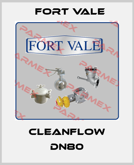 Cleanflow DN80 Fort Vale