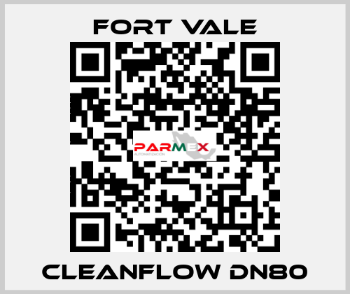 Cleanflow DN80 Fort Vale