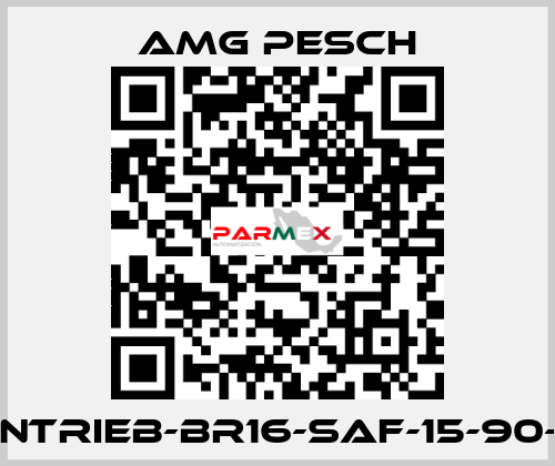 AMG-Antrieb-BR16-SAF-15-90-01-n=12 AMG Pesch