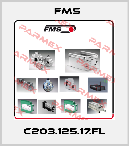 C203.125.17.FL Fms