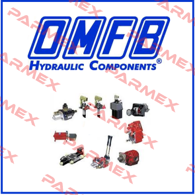 10690100194 old code - 10690100256 new code OMFB Hydraulic