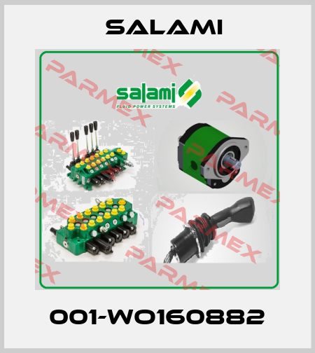 001-WO160882 Salami