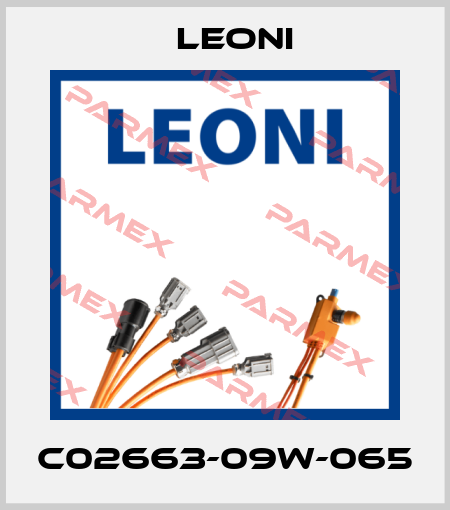 C02663-09W-065 Leoni