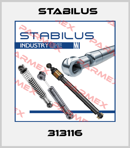 313116 Stabilus