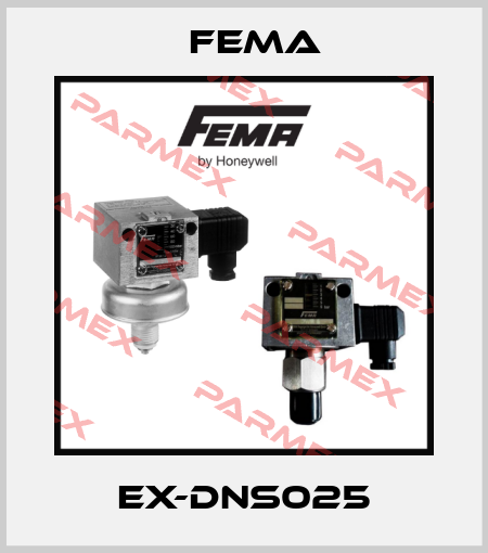EX-DNS025 FEMA