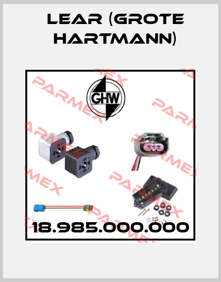 18.985.000.000 Lear (Grote Hartmann)