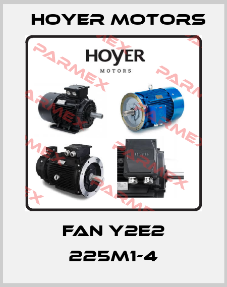 Fan Y2E2 225M1-4 Hoyer Motors